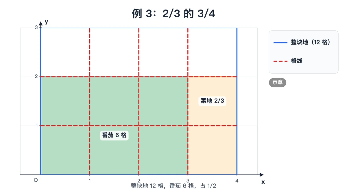 长方形分成3行4列，菜地占2行，其中3列是番茄，共6格