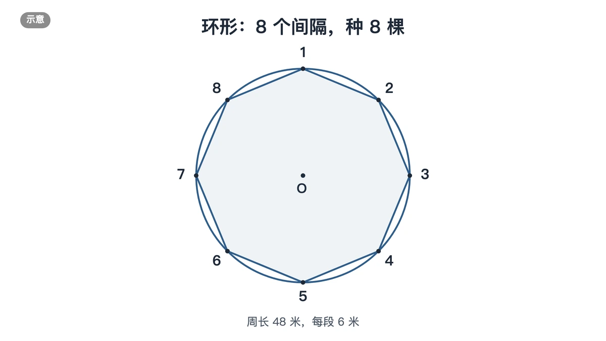 圆形花坛一圈种8棵树,8个间隔的示意